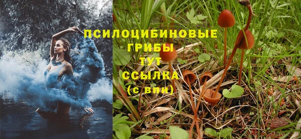 каннабис Заволжск